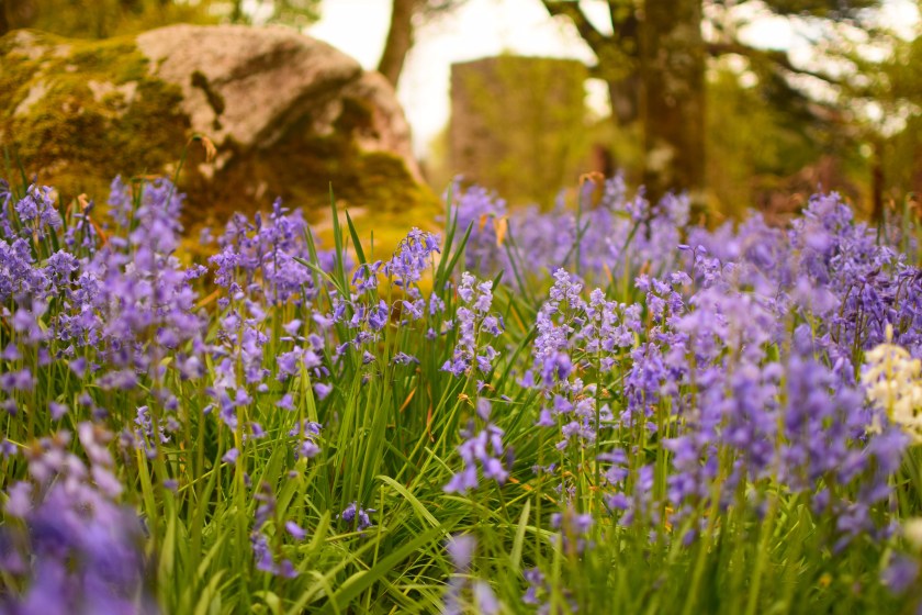 19f0e1_6c0a92fb69694318ad44d40d9e14188a-mv2_d_6000_4000_s_4_2